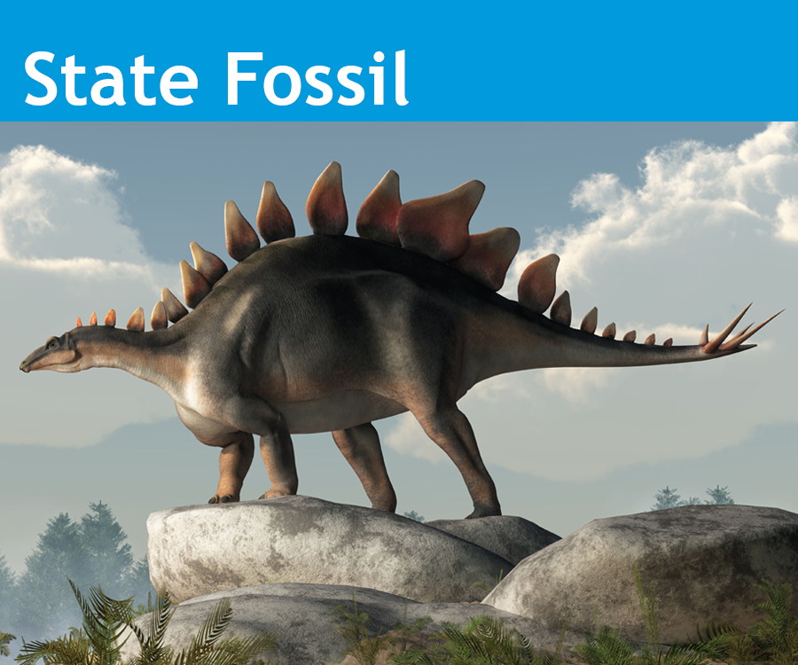 Image showing the State of Colorado State Fossil the Stegosaurus.