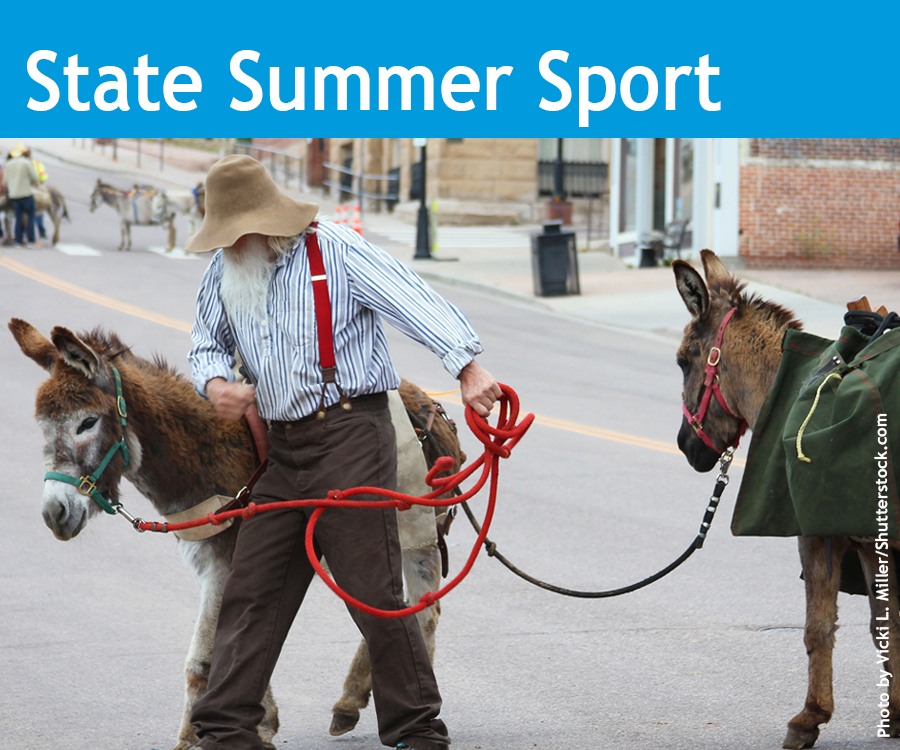 Photo showing the State of Colorado State Summer Sport, Pack Burro Racing.