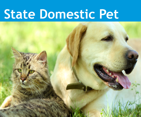 An image of the Colorado State Domestic Pet, cat and dog sitting side by side.